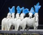 Лошади, действующих в цирке